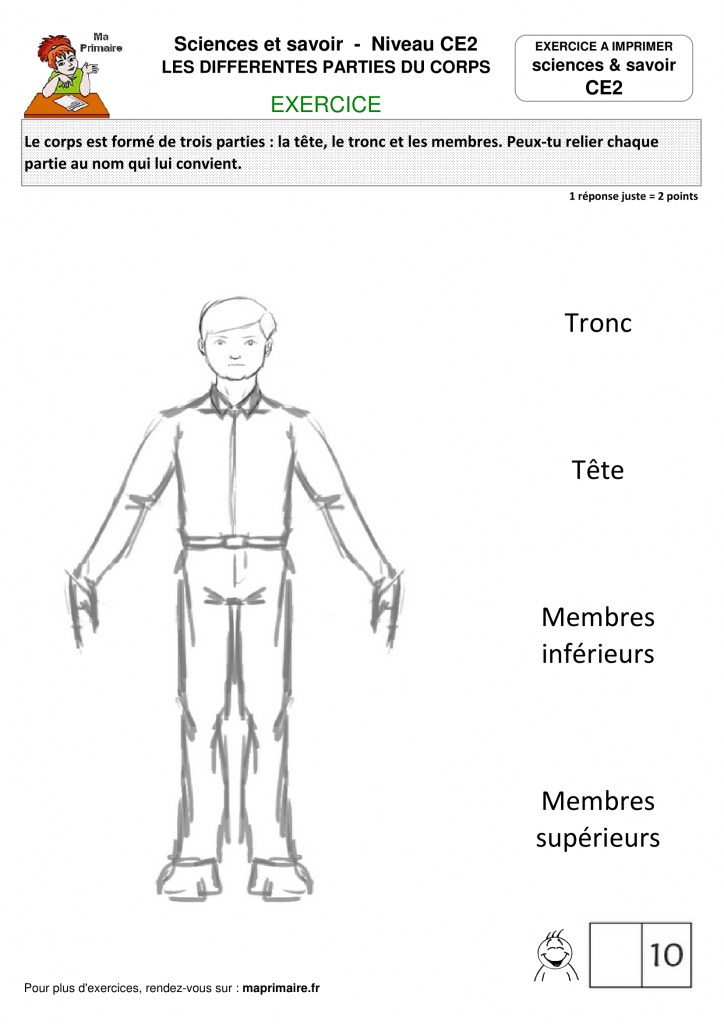 Ce2 Exercice A Imprimer Les Differentes Parties Du Corps Classe De Primaire