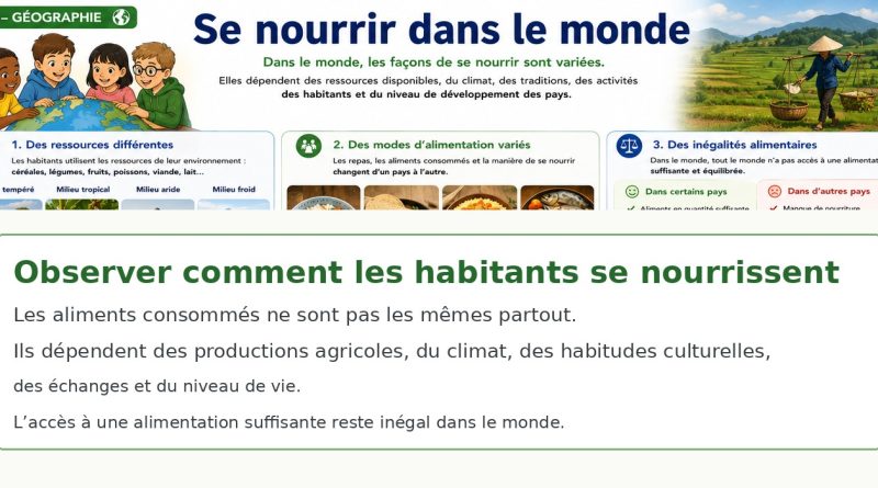 Illustration CM1 géographie : diversité des façons de se nourrir dans le monde.