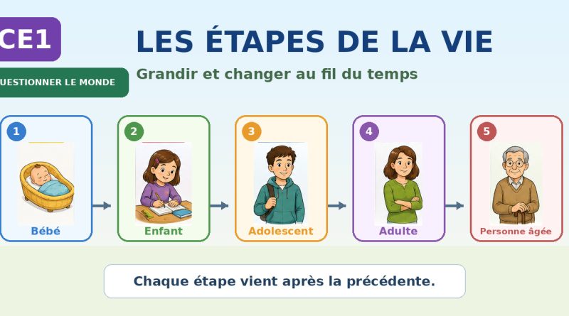Frise illustrée CE1 montrant les grandes étapes de la vie humaine, du bébé à la personne âgée.