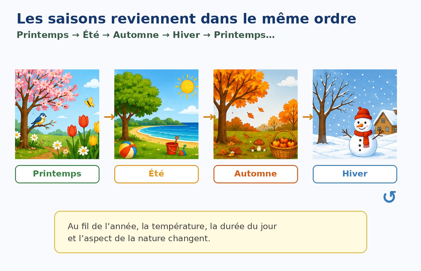 Illustration pédagogique CP montrant l’ordre cyclique printemps, été, automne, hiver.