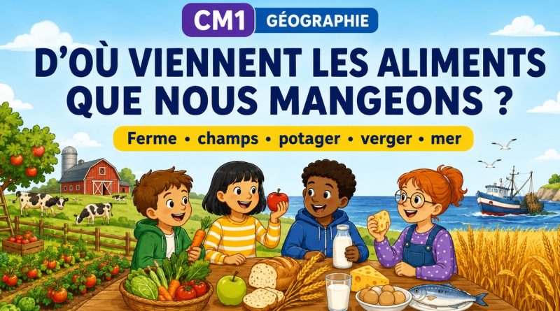 Des élèves observent des aliments provenant d’un potager, d’un verger, d’une ferme, de champs et de la mer.