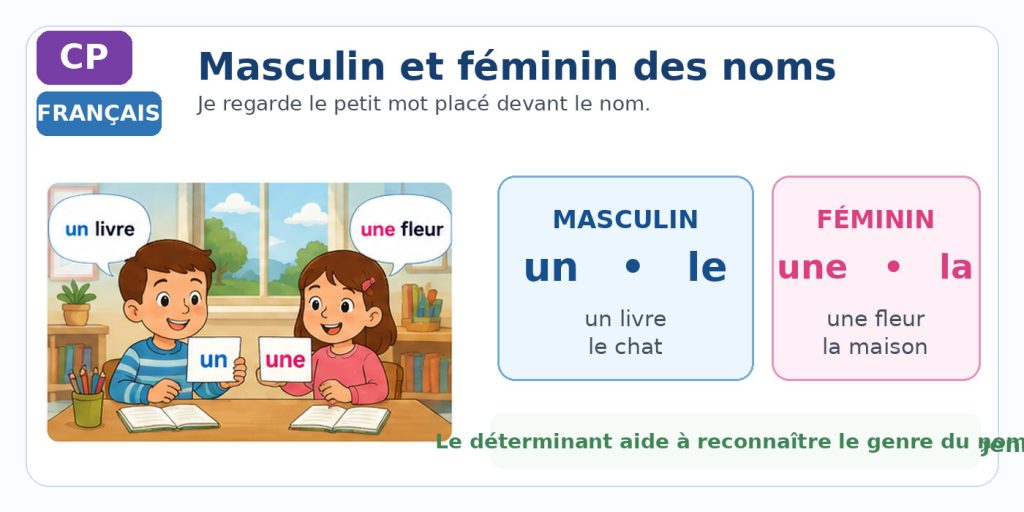 Deux élèves de CP découvrent les déterminants un, le, une et la pour reconnaître le masculin et le féminin des noms.