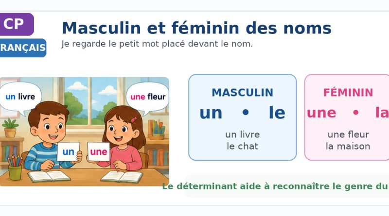 Deux élèves de CP découvrent les déterminants un, le, une et la pour reconnaître le masculin et le féminin des noms.