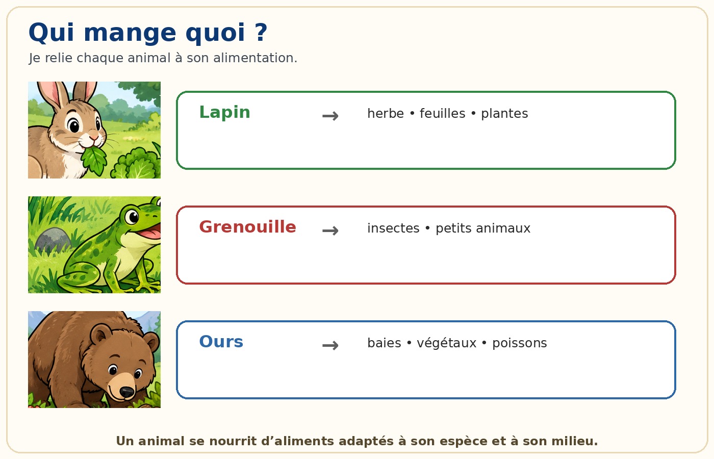 CE1 Sciences - Qui mange quoi