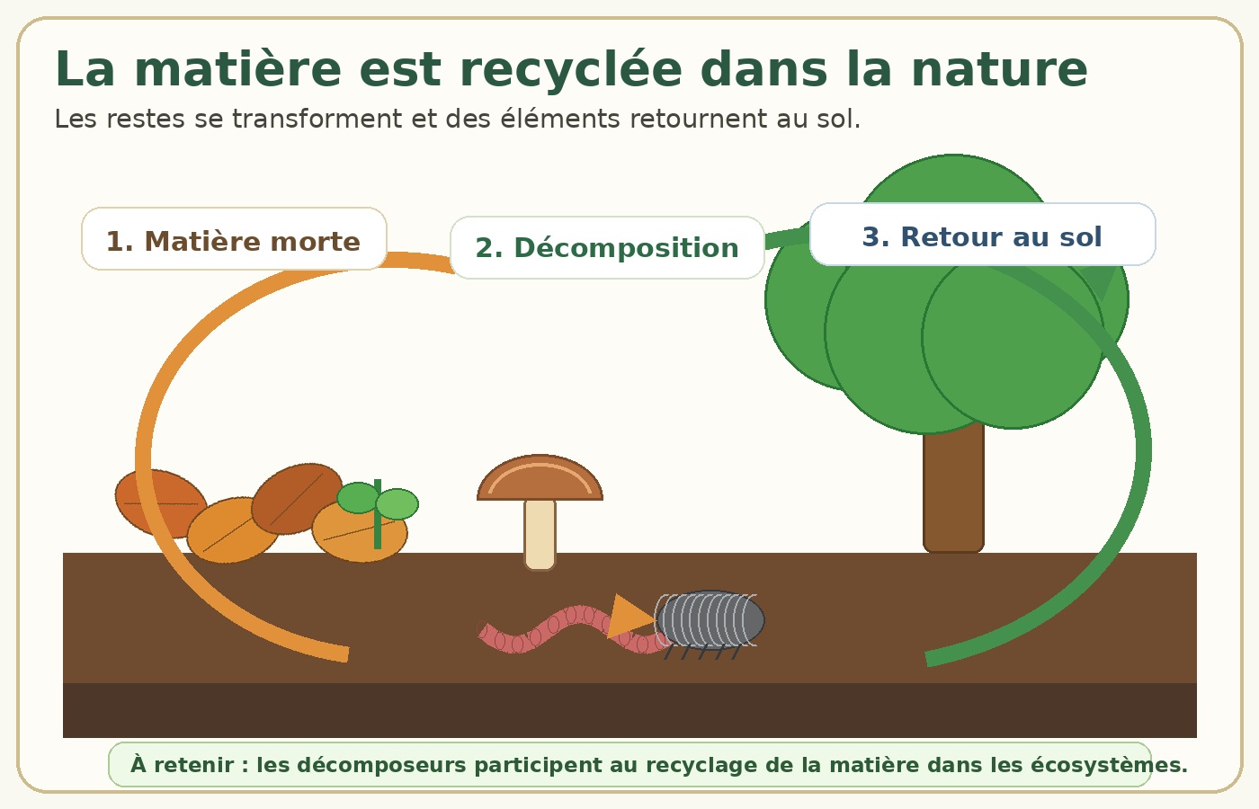 CM2 Sciences - Recyclage de la matière dans la nature