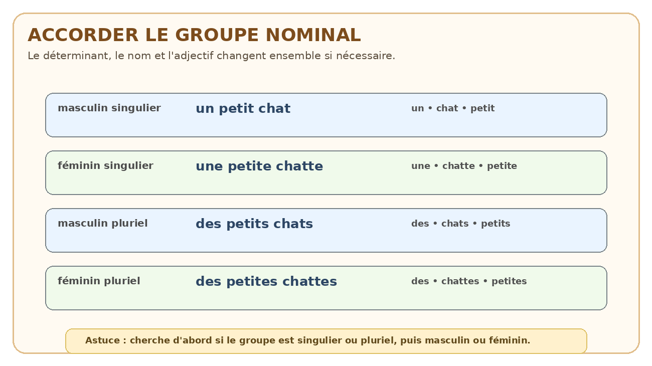 Exemples d'accords masculin, féminin, singulier et pluriel dans le groupe nominal