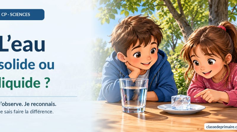 L’eau : solide ou liquide ? — CP sciences
